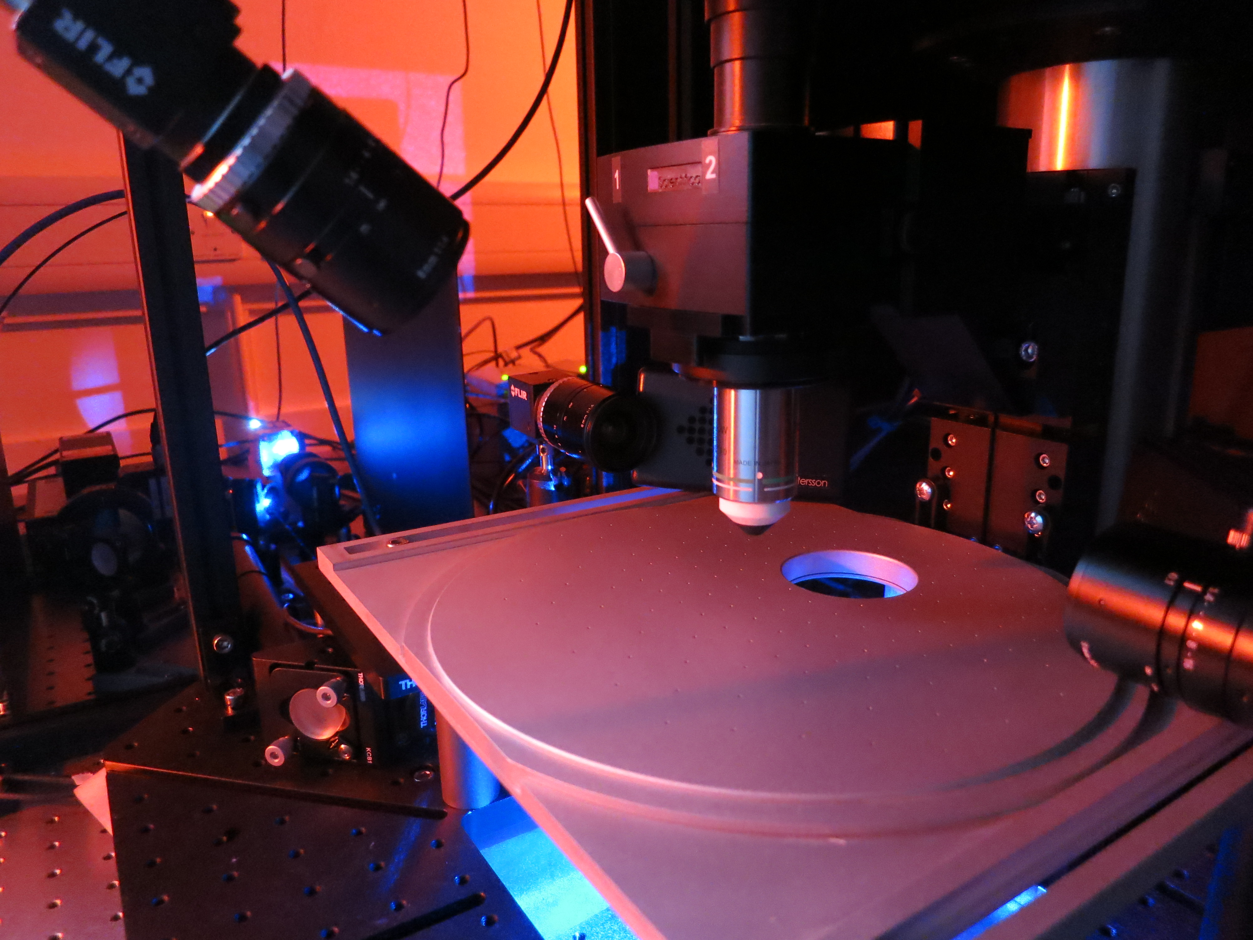 Two-photon rig